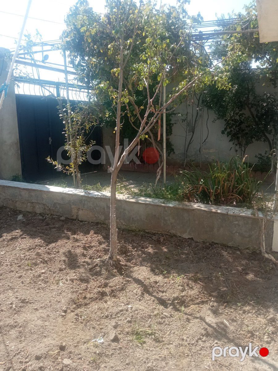 Satılır 2 otaqlı həyət evi/bağ evi 60 m² — Ev, villa, Bakı (5)