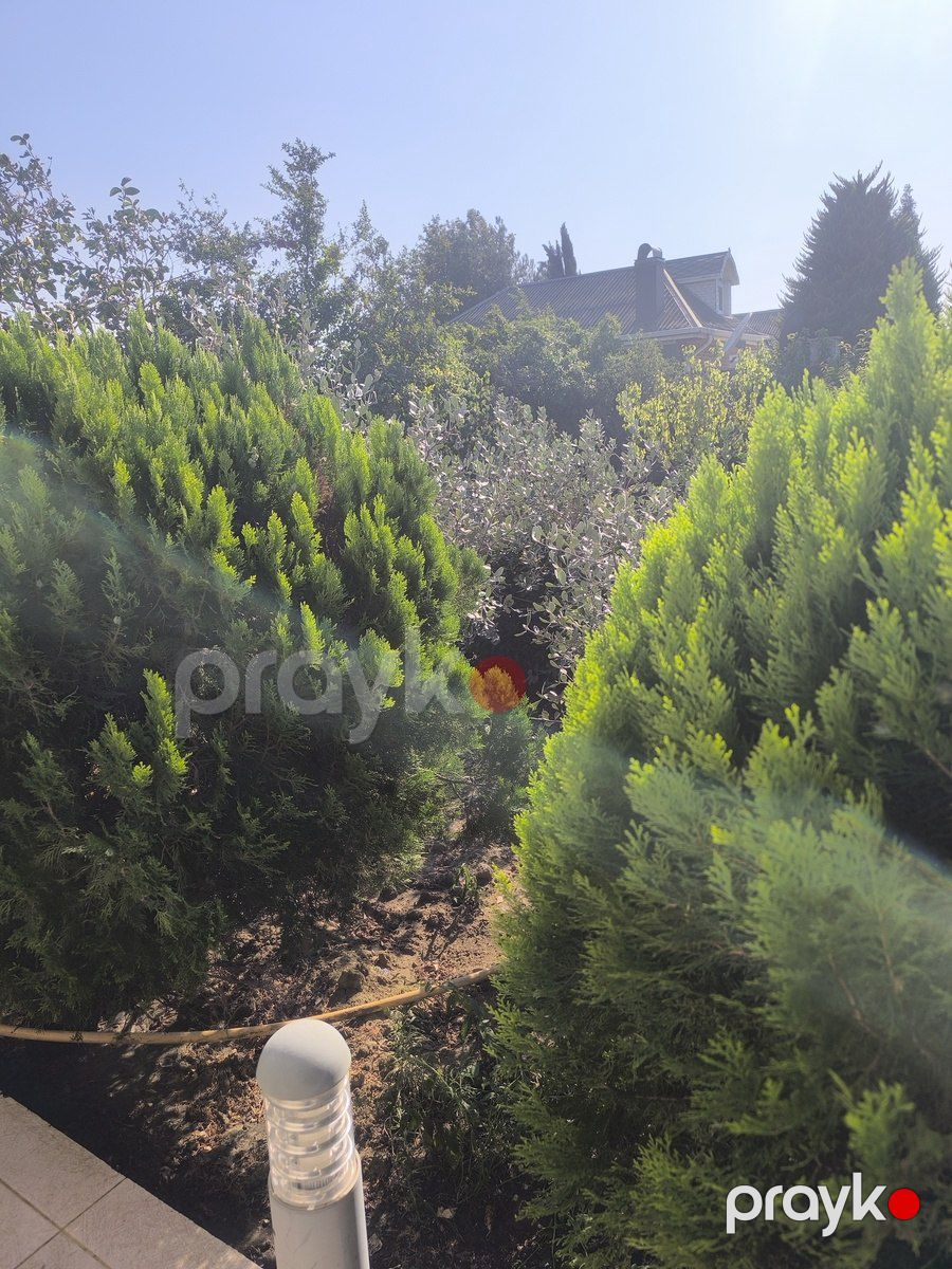 Satılır torpaq 5 sot — Torpaq, Bakı (11)