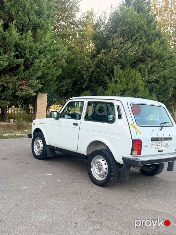 Lada (VAZ) Niva, 1.7 L, 2013 il, 186 000 km — Avtomobillər, Ağcabədi (3)