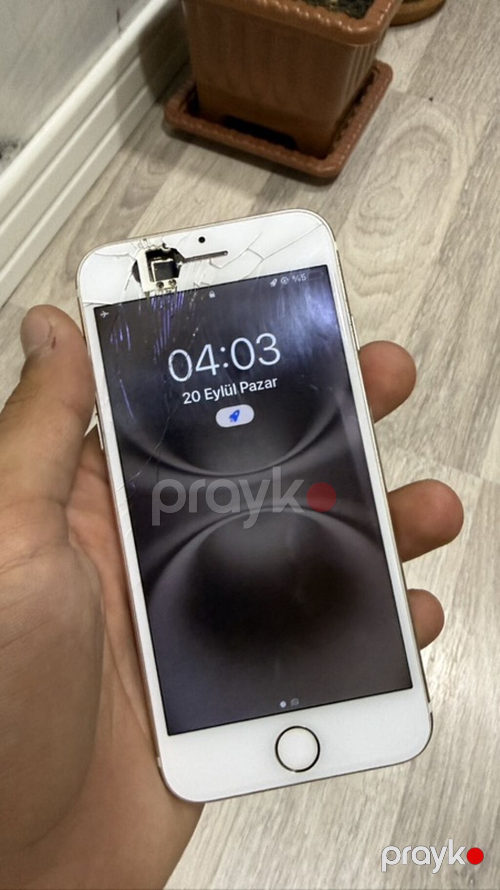 IPhone 7, 32 GB, Qızılı, Barmaq izi — Apple iPhone, Bakı (7)