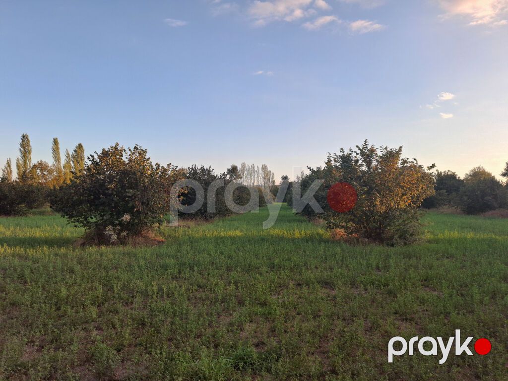 180 sot, Kənd təsərrüfatı, Mülkiyyətçi — Torpaq, Oğuz (6)