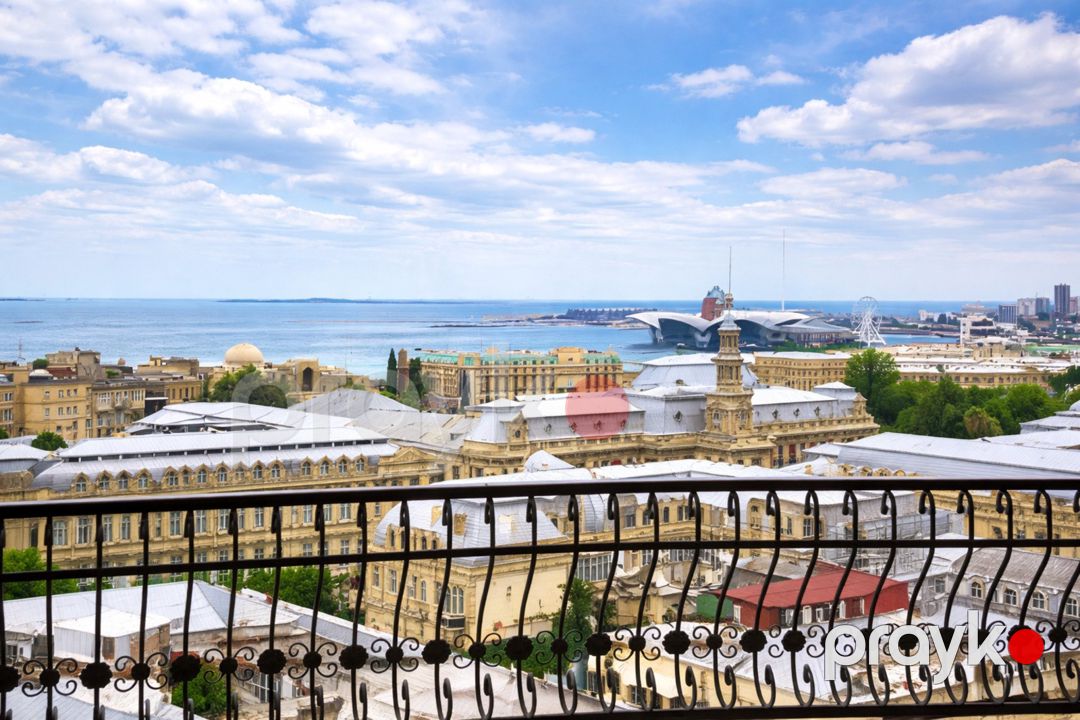 Satılır 5 otaqlı yeni tikili 250 m² — Mənzil, Bakı (3)