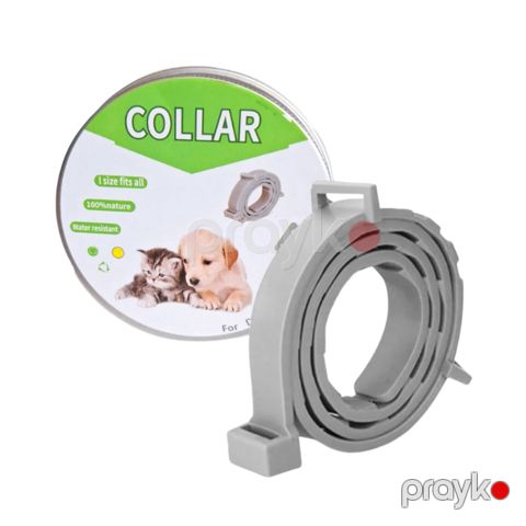 İtlər və pişiklər üçün birə əleyhinə boyunluq Collar, boz — Bakı