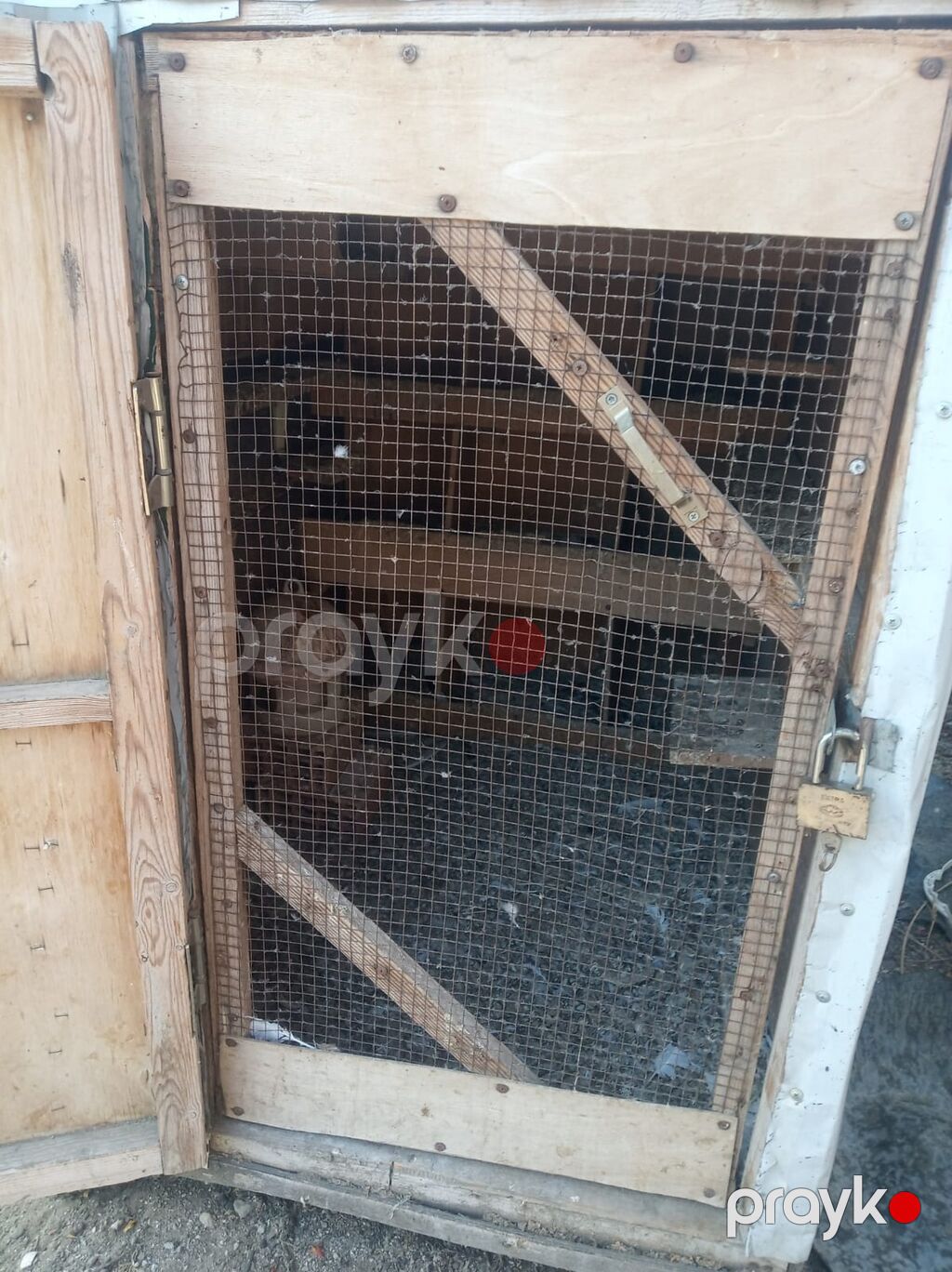 Metaldan və taxtadan hazırlanmış quşxana/kümes - Korpus: Dalğalı — Qəfəslər, Digah (4)