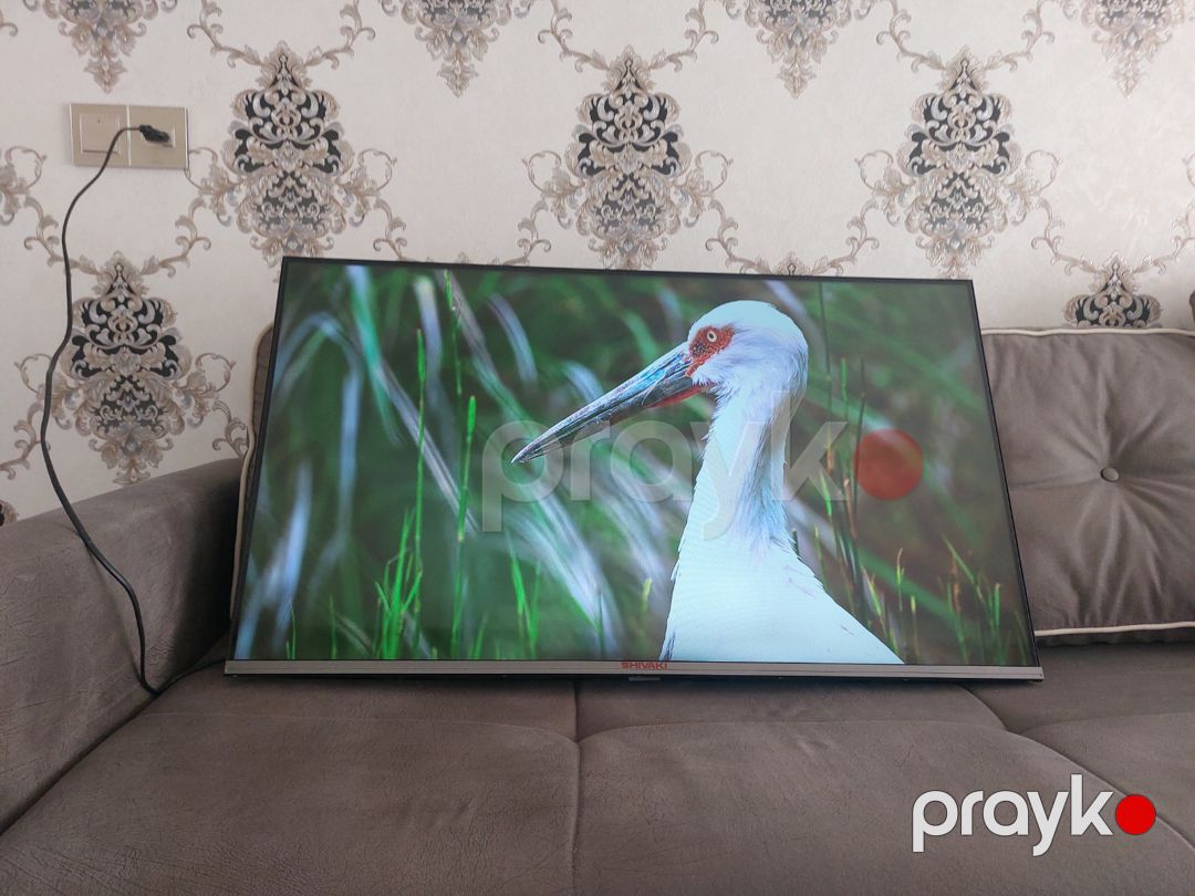 Televizor Shivaki — TV və Video, Bakı (12)