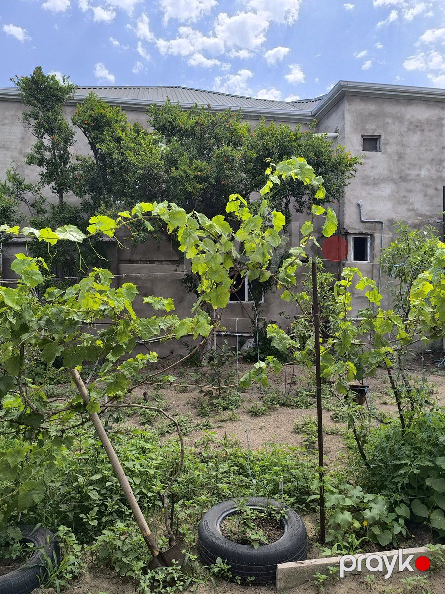 Satılır 4 otaqlı həyət evi/bağ evi 130 m² — Ev, villa, Bakı (4)