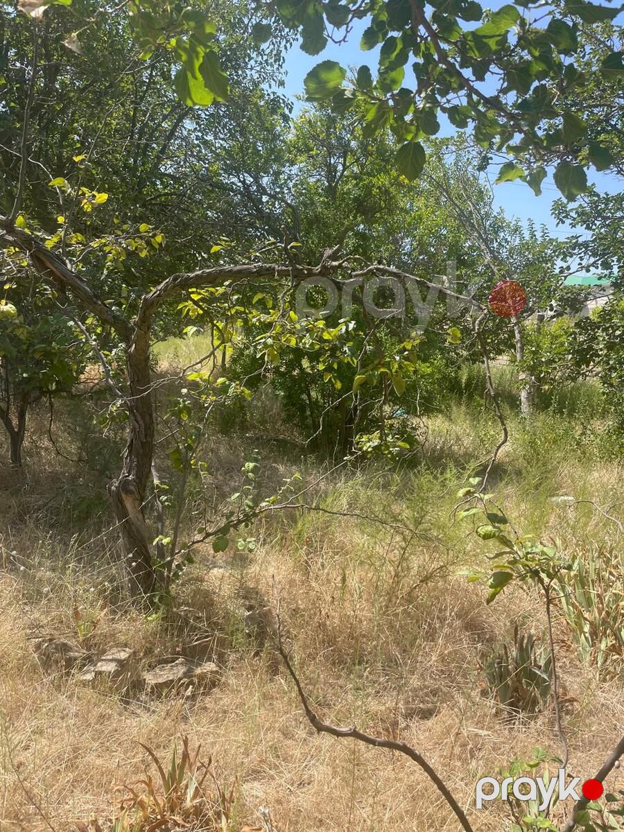 Satılır torpaq 14 sot — Torpaq, Bakı (6)