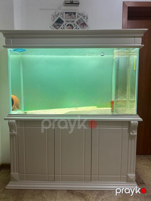Akvarium — Bakı