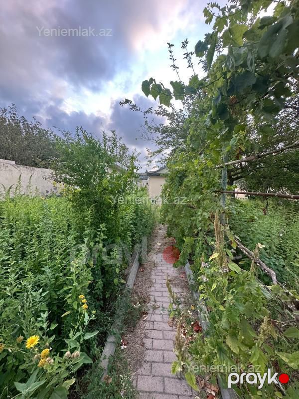 Satılır 3 otaqlı Həyət evi / Villa, 90 m², Qurd dərəsi — Ev, villa, Sumqayıt (6)
