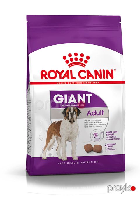 Quru yem Royal Canin Giant Adult iri cinsli itlər üçün 15kq — Bakı