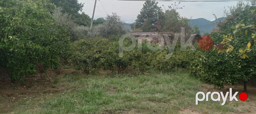 3 otaqlı, 100 kv. m, Kredit yoxdur, Orta təmir — Ev, villa, Astara (8)