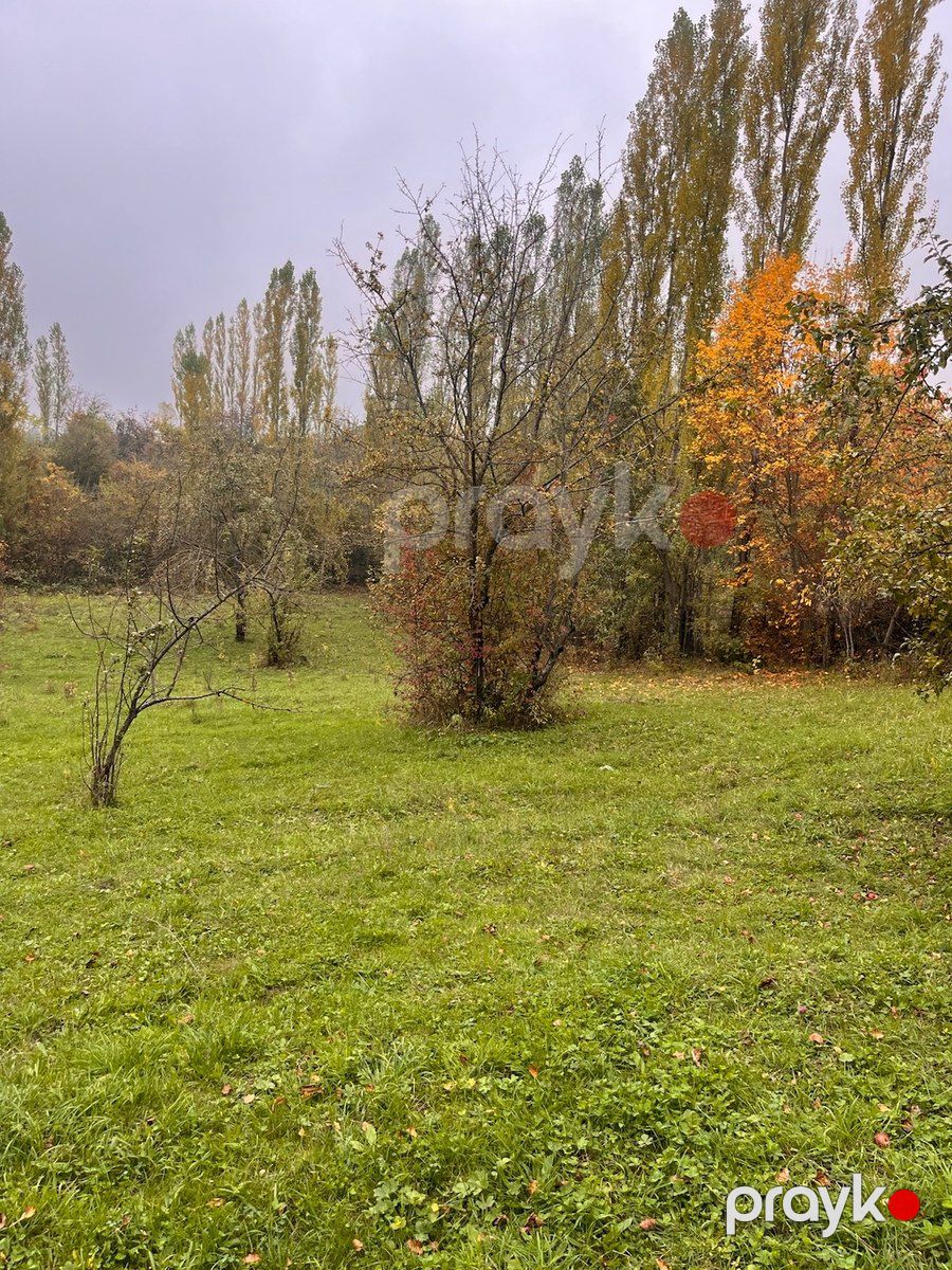 30 sot torpaq sahəsi, Qusar r — Torpaq, Qusar (8)