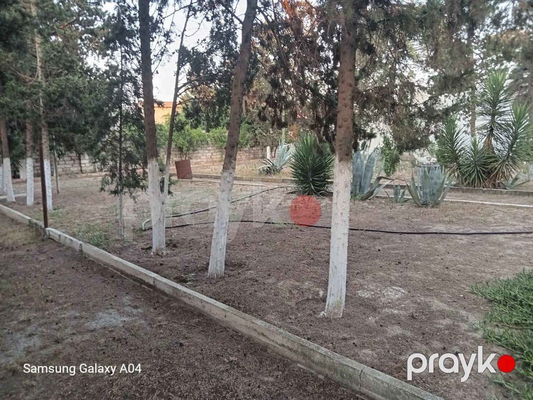 14.6 sot torpaq sahəsi, Mərdəkan qəs — Torpaq, Bakı (5)