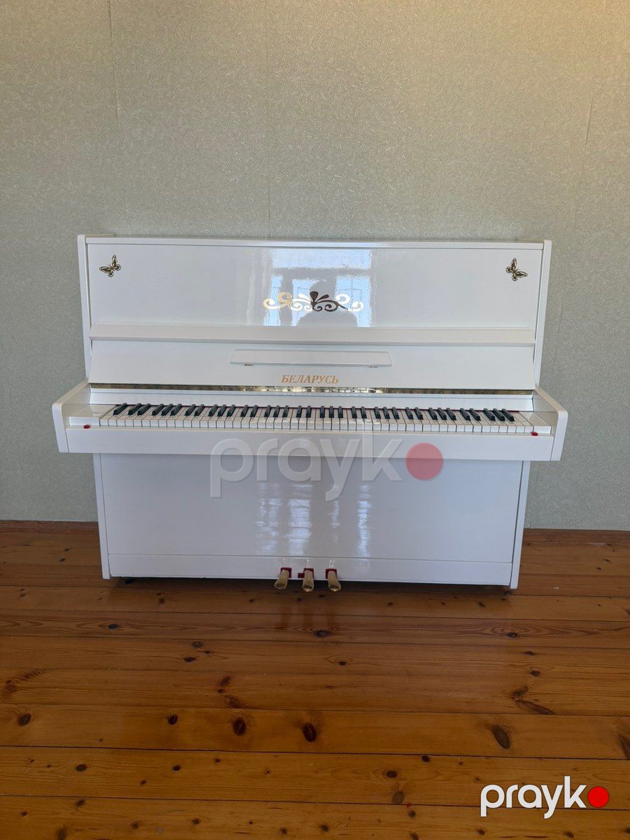 Belarus pianosu — Musiqiə alətləri, Bakı (6)