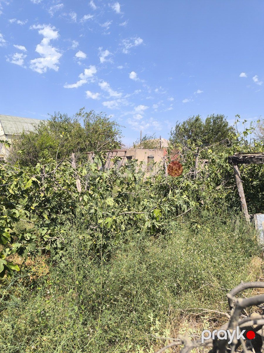 Satılır torpaq 16 sot — Torpaq, Bakı (5)