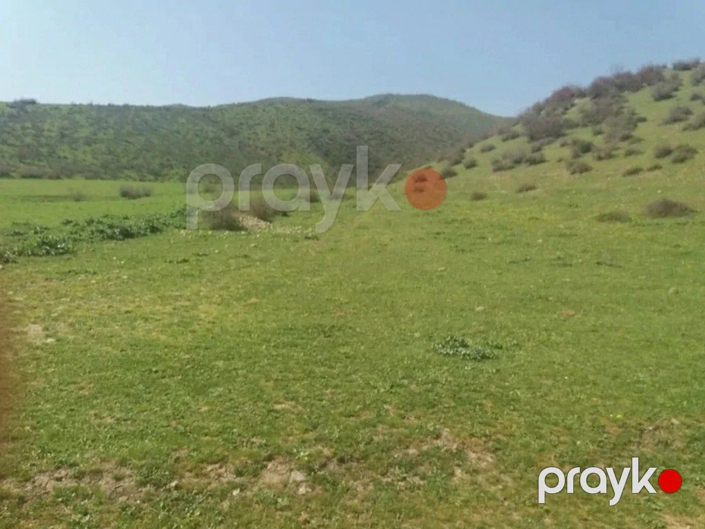 19 sot torpaq sahəsi, İsmayıllı r — Torpaq, İsmayıllı (8)