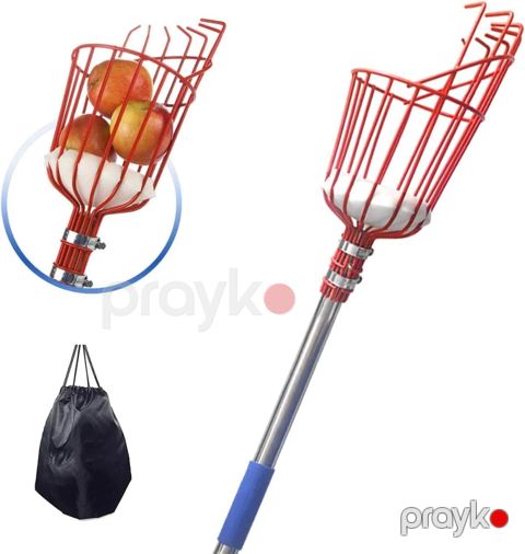Bağ aləti meyvə dərən narıncı — Bakı