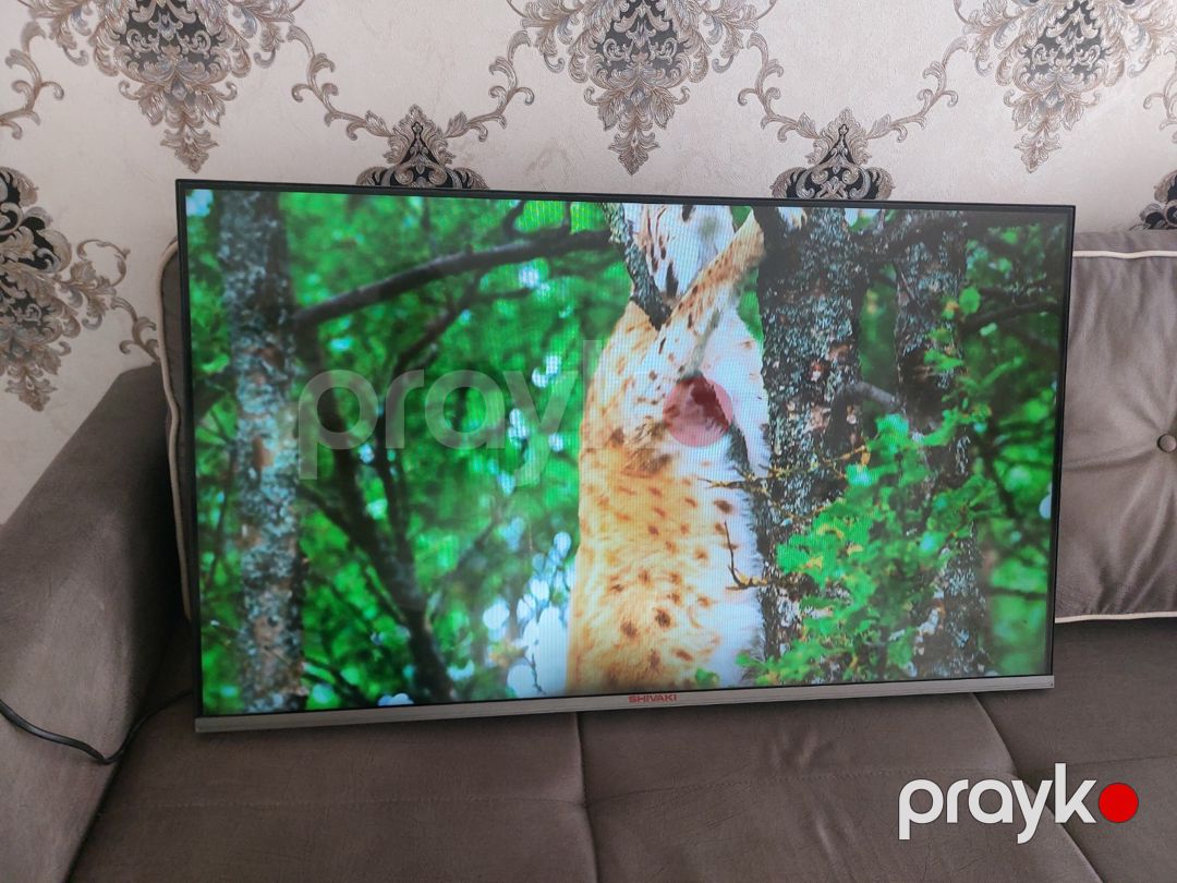 Televizor Shivaki — TV və Video, Bakı (5)