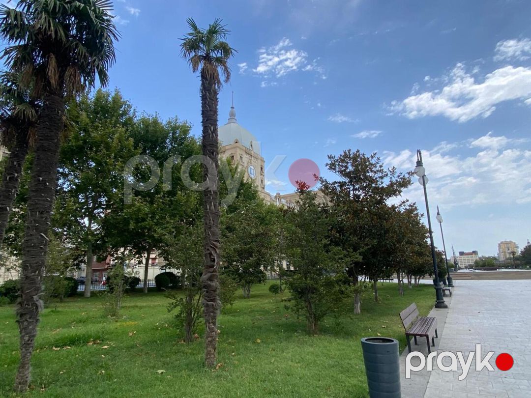 Satılır 3 otaqlı yeni tikili 115 m² — Mənzil, Bakı (12)
