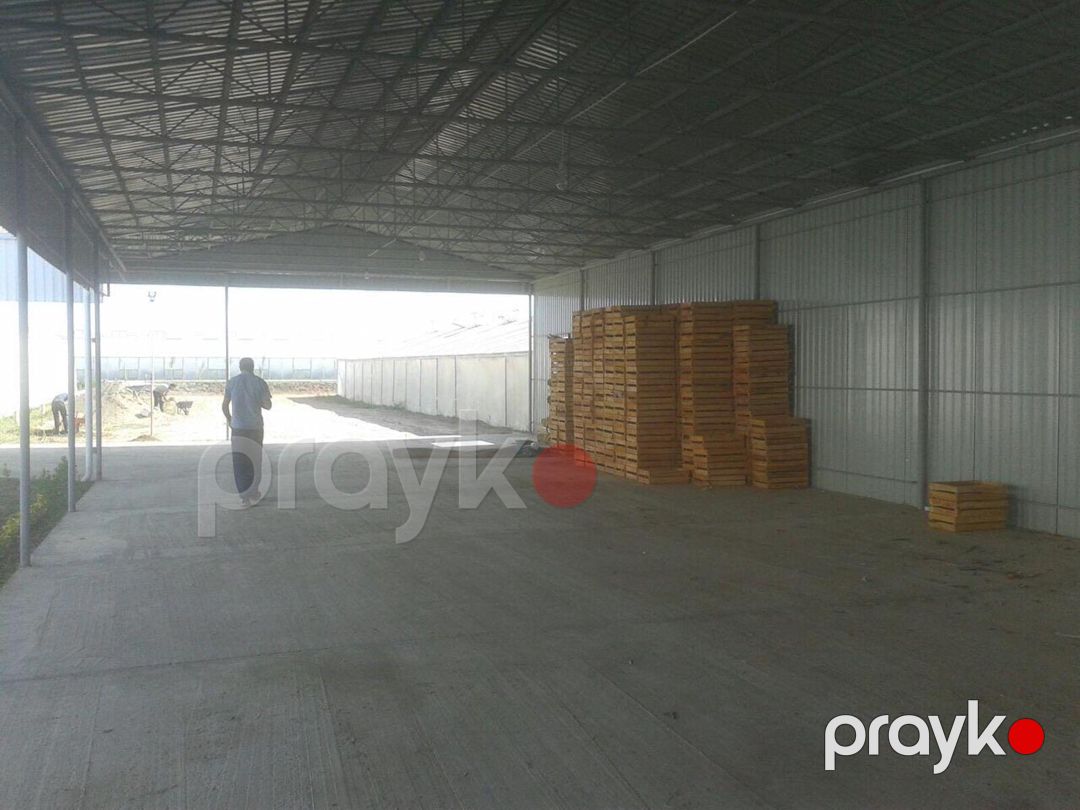 Satılır obyekt 500000 m² — Əmlak, Salyan (8)