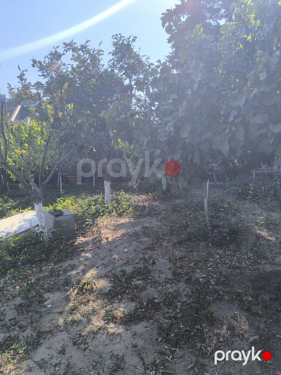 Satılır torpaq 5 sot — Torpaq, Bakı (6)