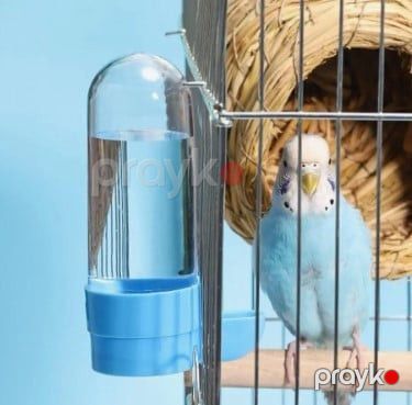 Tutuquşular üçün su qabı, mavi, yüksək dayanıqlı plastik prl_0407 — Bakı