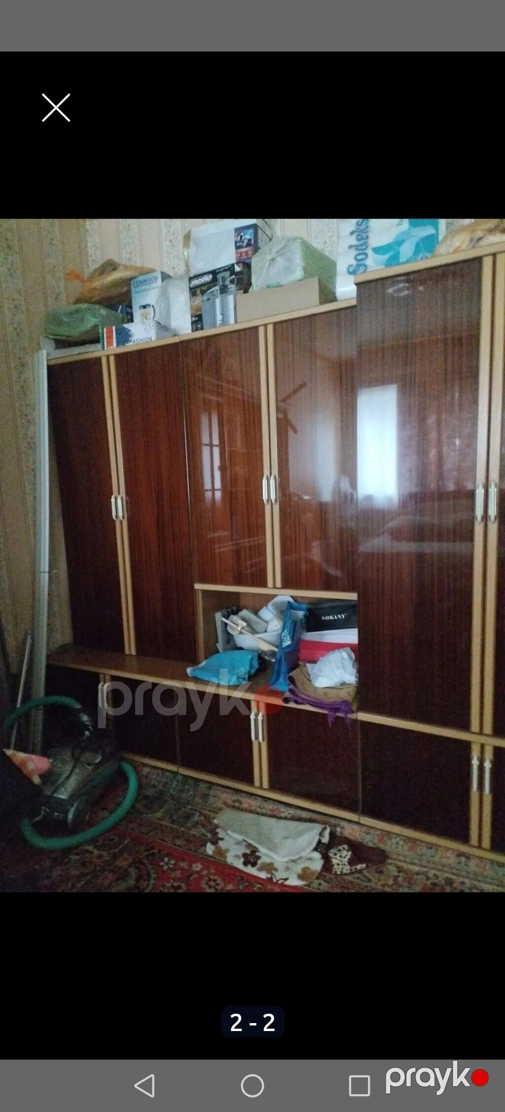 Alabay, 10 il, Erkək, Sənədli — Köpəklər, Masazır (2)