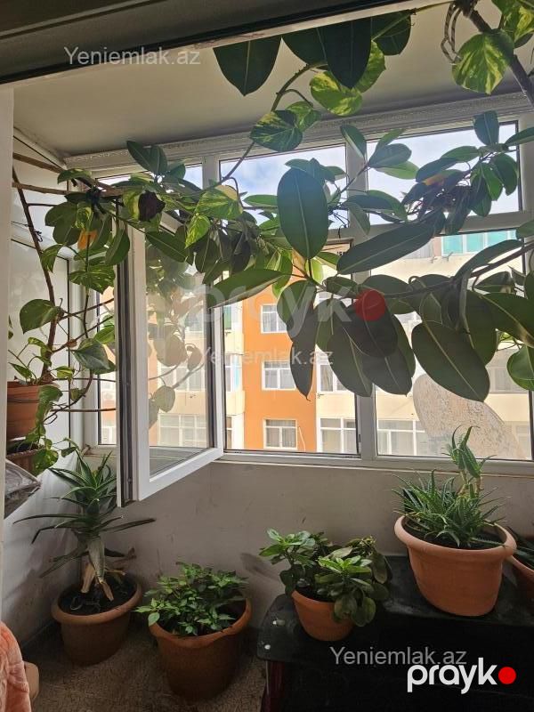 Satılır 3 otaqlı Bina evi menzil (Yeni tikili), 120 m², Masazır — Mənzil, Abşeron (8)