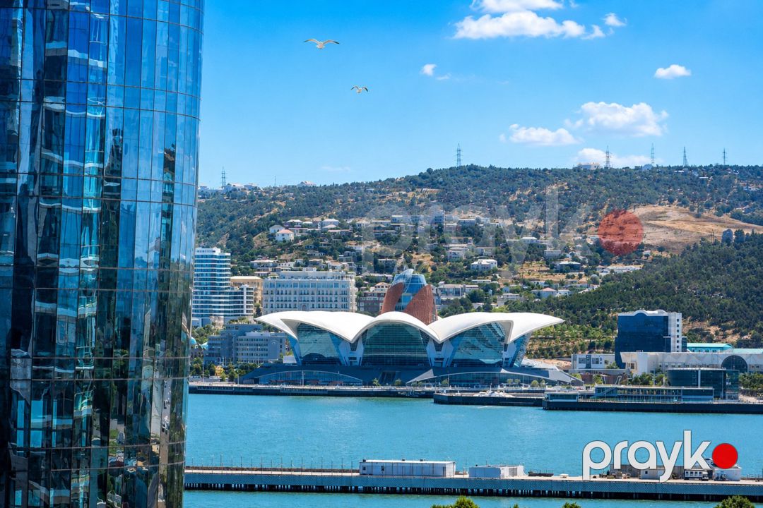 Satılır 9 otaqlı yeni tikili 1050 m² — Mənzil, Bakı (10)