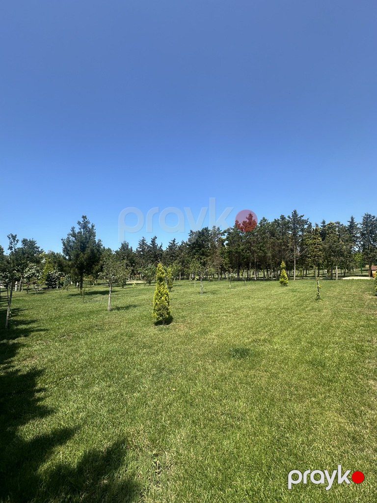 Satılır torpaq 9 sot — Torpaq, Bakı (11)