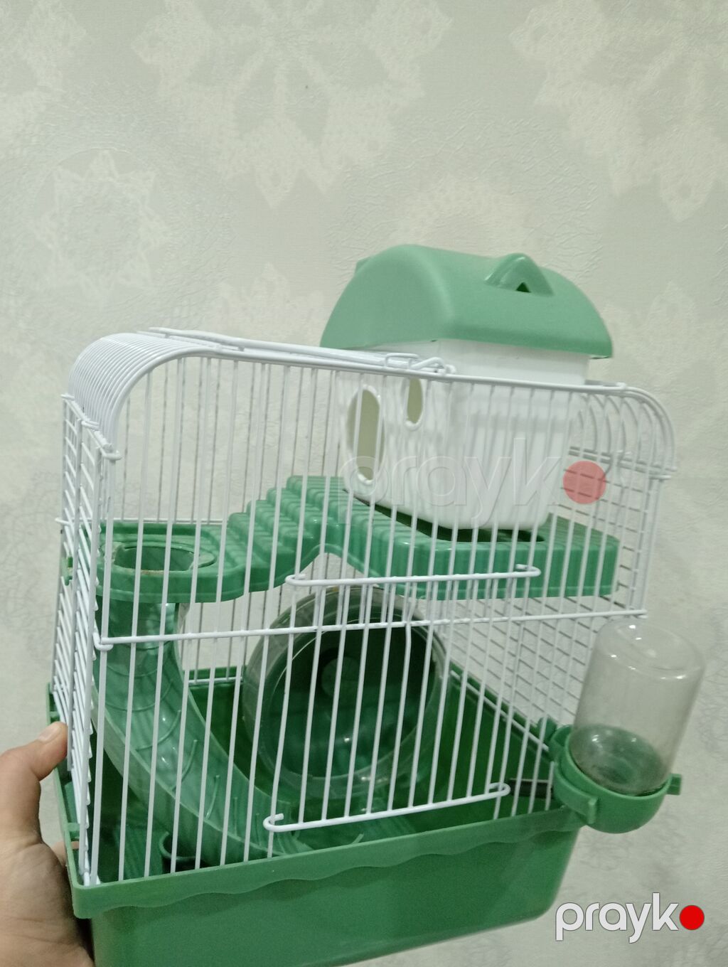 Cırtdan hamsterlər və tam dəst qəfəs Məhsul təsviri: - Növ: cırtdan — Digər heyvanlar, Bakı (4)