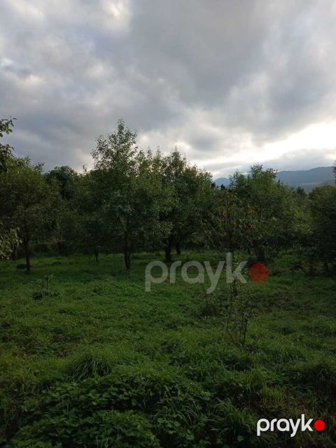 Satılır torpaq 25 sot — Quba