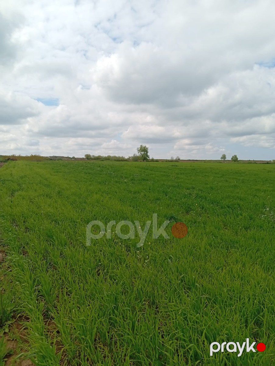 10000 sot torpaq sahəsi, Qusar r — Torpaq, Qusar (4)