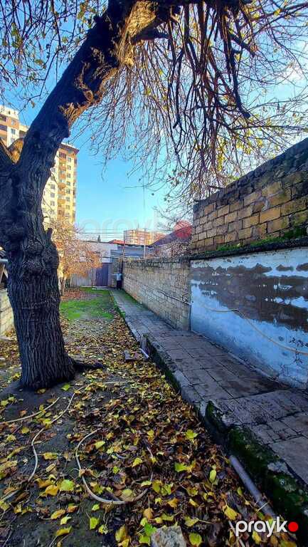 Satılır torpaq 4 sot — Torpaq, Bakı (6)