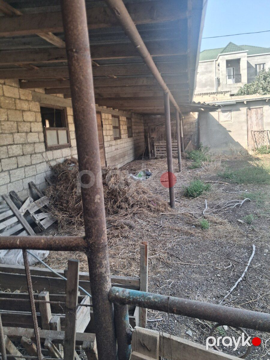 Həyət evi, Zirə qəs — Ev, villa, Bakı (8)