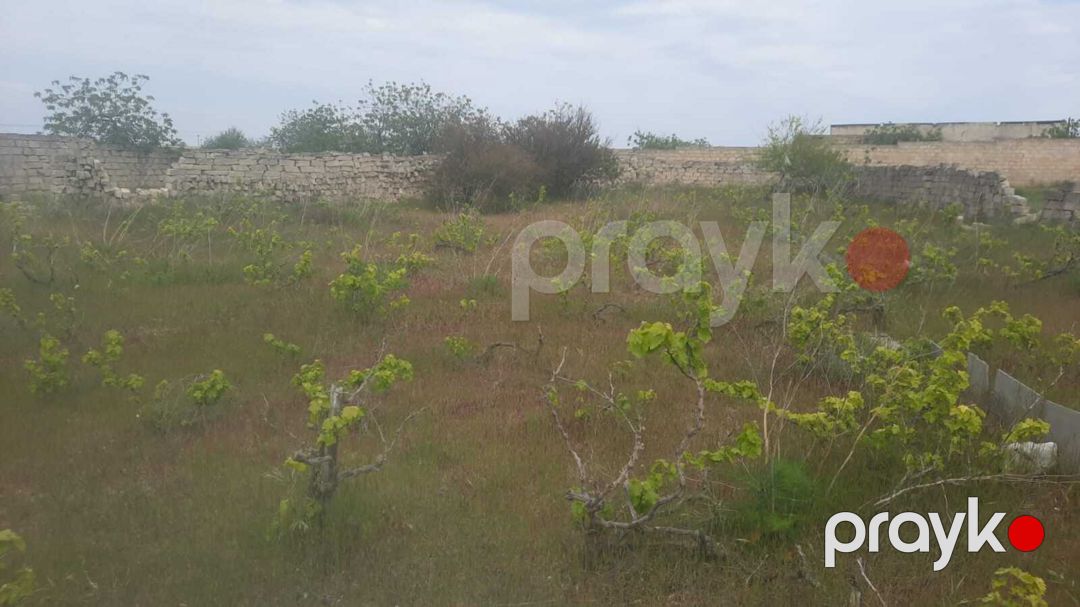 23 sot torpaq sahəsi, Maştağa qəs — Torpaq, Bakı (6)