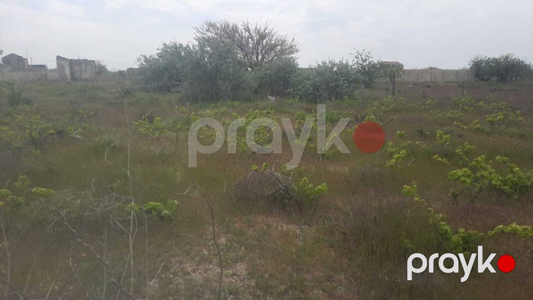 23 sot torpaq sahəsi, Maştağa qəs — Torpaq, Bakı (2)