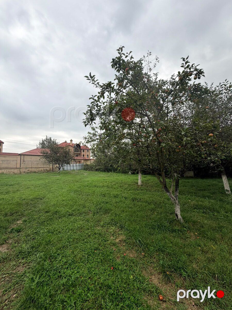 9 sot torpaq sahəsi, Qusar r — Torpaq, Qusar (3)