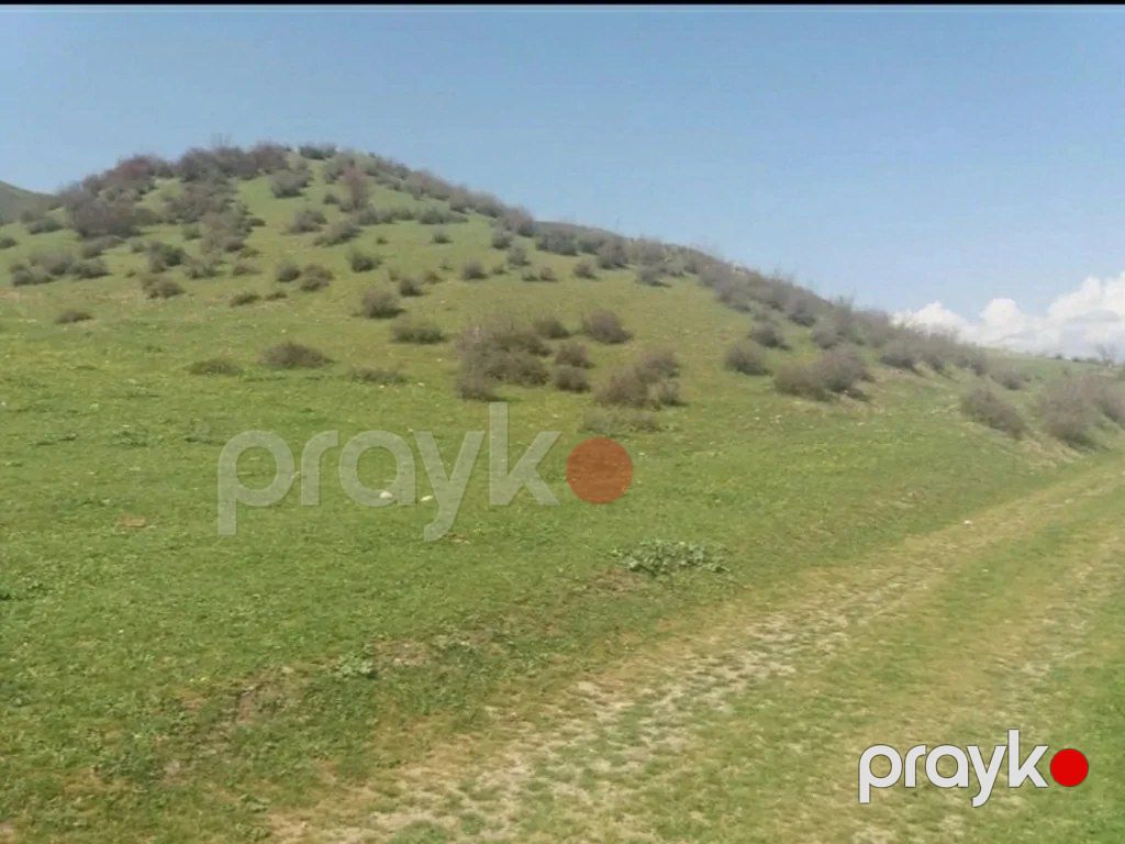 19 sot torpaq sahəsi, İsmayıllı r — Torpaq, İsmayıllı (6)