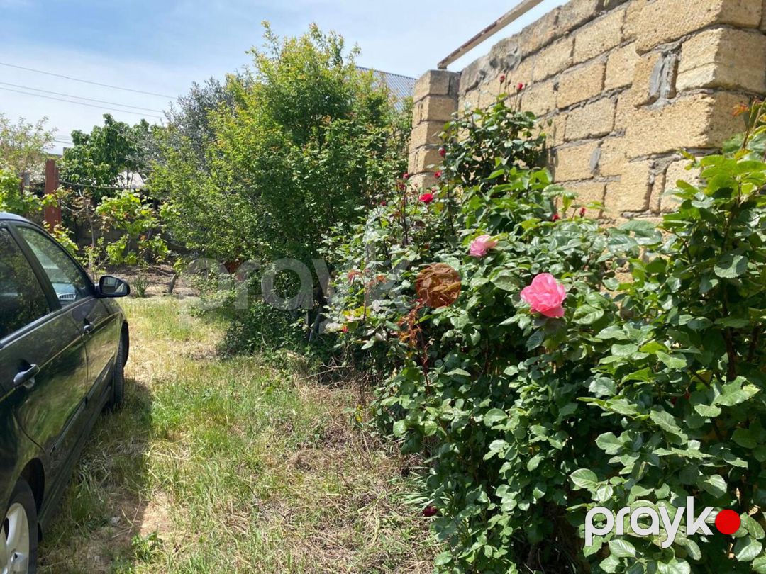Satılır torpaq 6 sot — Torpaq, Bakı (8)