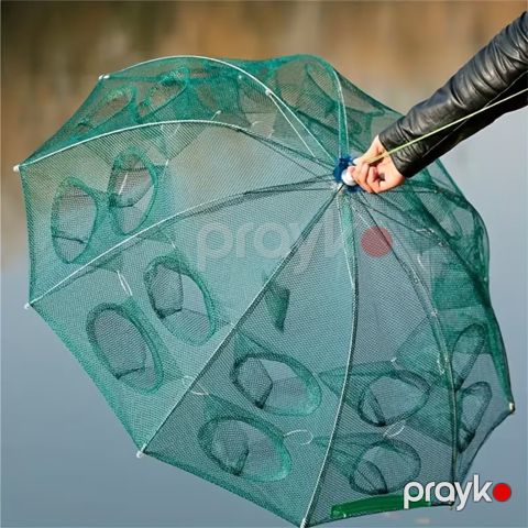 Krivetka və xərcəng toru — Bakı