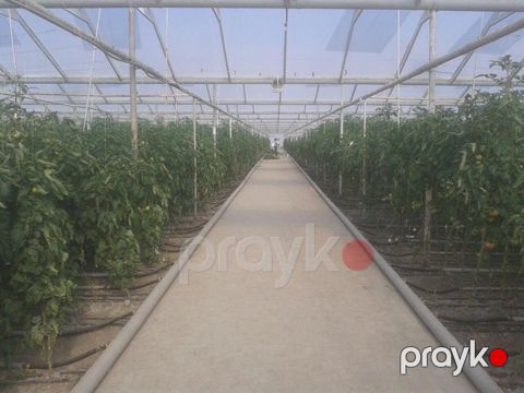 Satılır obyekt 500000 m² — Salyan