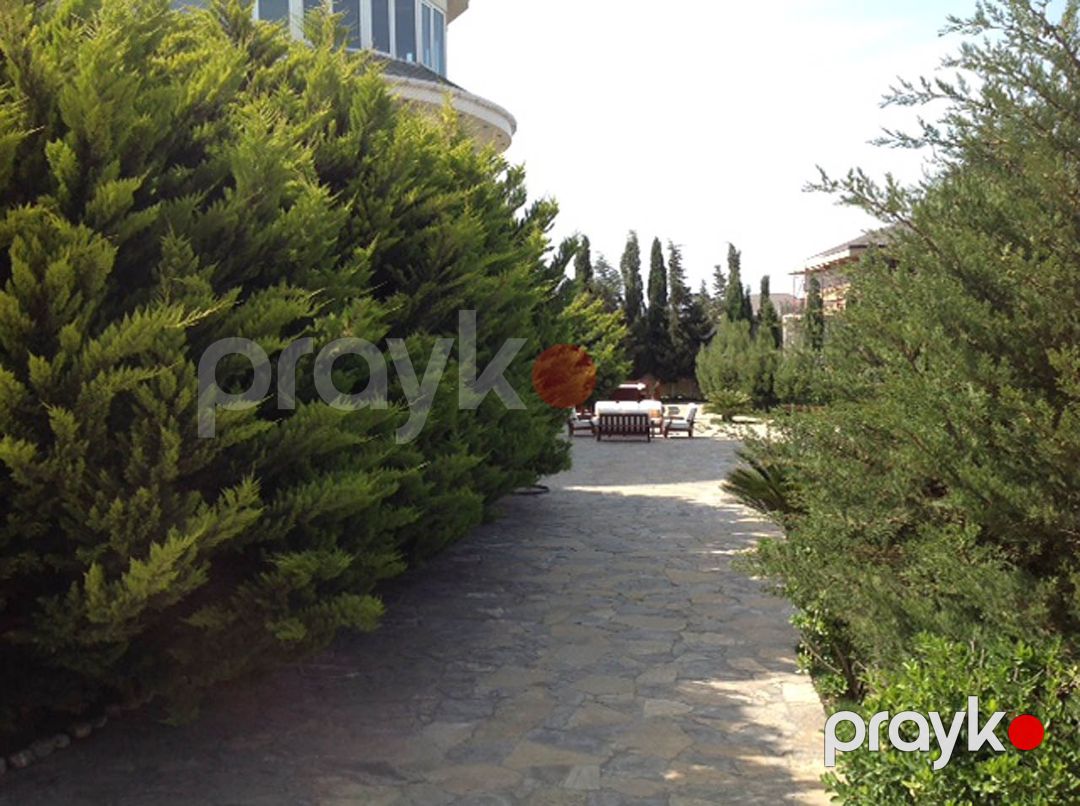 Satılır həyət evi/bağ evi 500 m² — Ev, villa, Bakı (5)
