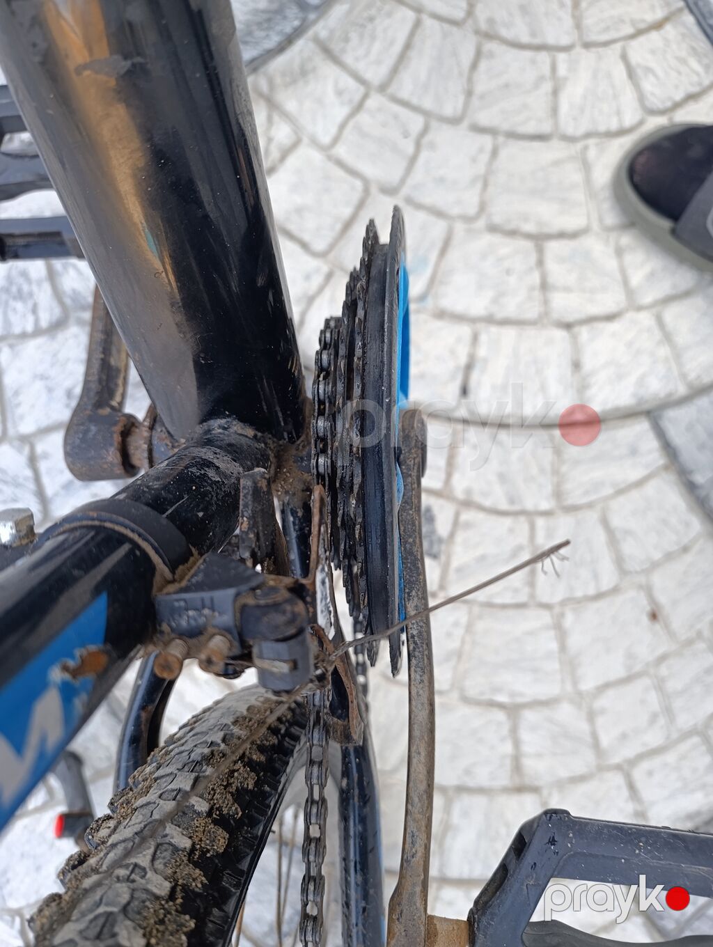Velosiped – Wolf MTB - Çərçivə: Wolf alüminium/metal çərçivə, dağ/MTB — Dağ velosipedləri, Bakı (6)