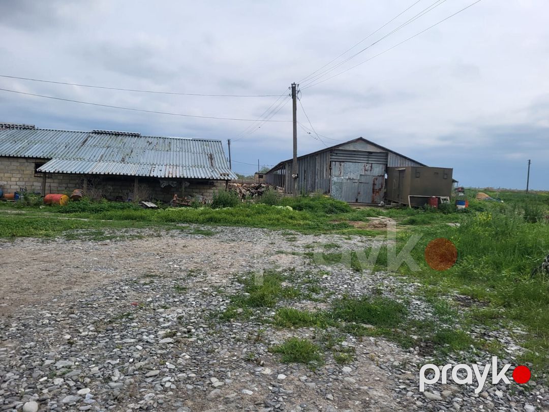 26000 sot torpaq sahəsi, Göyçay r — Torpaq, Göyçay (11)