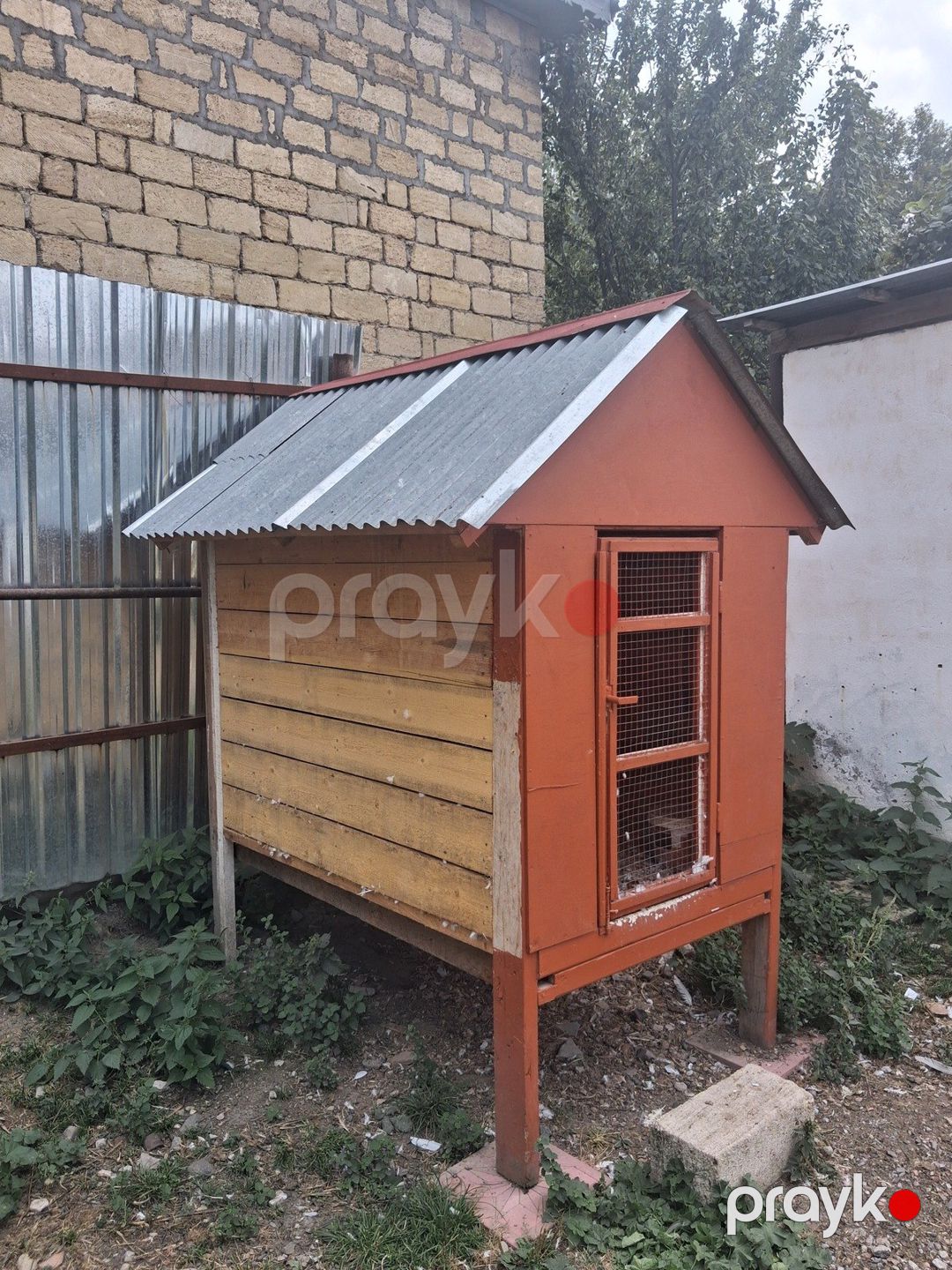 Göyərçinlər — Göyərçin, İsmayıllı (3)