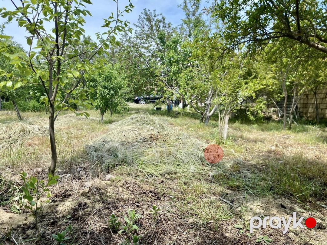 Satılır torpaq 6 sot — Torpaq, Bakı (10)