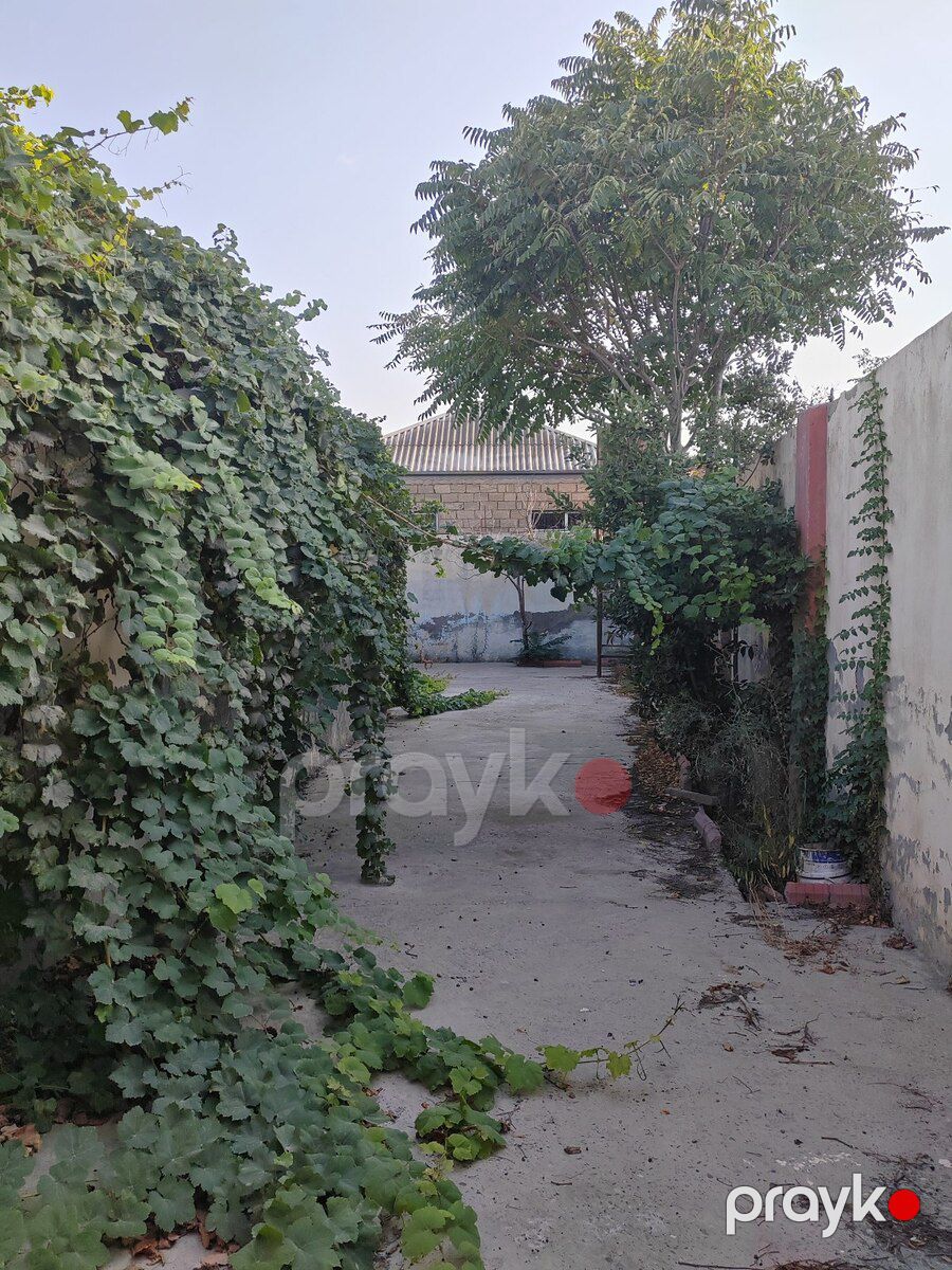 Həyət evi, Binəqədi qəs — Ev, villa, Bakı (7)