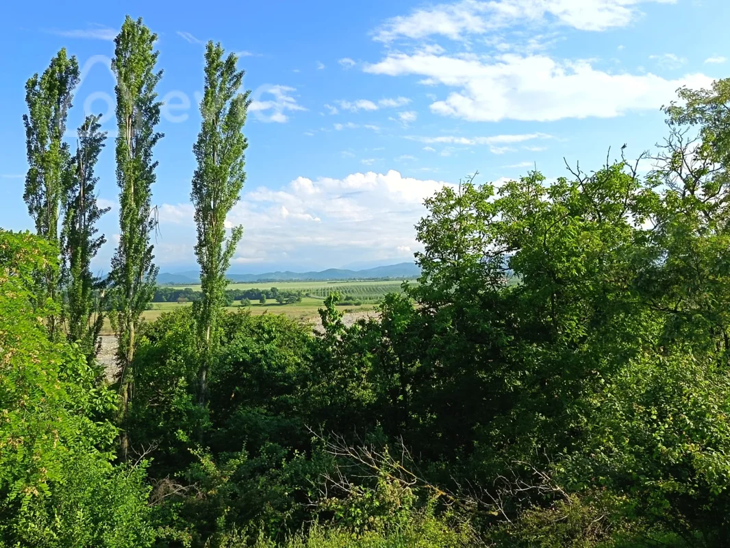 Torpaq sahəsi, 20 sot, Olimpiya kompileksindən aşağda yerləşir Bakı Quba yolu — Torpaq, Quba (7)