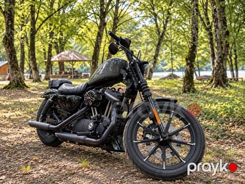 Harley-Davidson XL883N Sportster Iron 883, 900 sm3, 2022 il, 6 300 km — Bakı